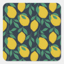 Search for hand drawn fruit stickers Lemon