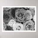 Search for large size posters Black
