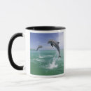 Search for marine mammal mugs Bottlenose dolphin
