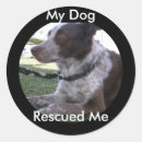 Search for adopt a shelter pet stickers Adoption