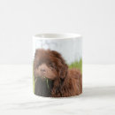 Search for newfoundland puppy mugs Puppies