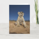 Search for namibia cards Nature