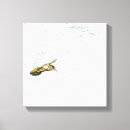 Recherche de reptile art Carré