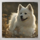 Search for samoyed art Puppy