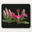 Recherche de bourgeon tapis souris Rose
