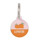 Search for clementines Oranges