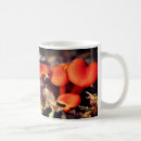 Search for mushroom mugs Forest