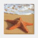 Search for summer fish magnets Starfish