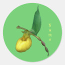 Recherche de orchidées jaunes autocollants Fleur