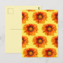 Search for cutout postcards Floral