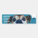 Search for boxer dog bumper stickers Pets