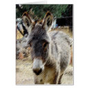 Search for wild donkeys postcards Horse