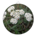 Recherche de fleurs blanches jeux de fléchettes Nature