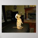 Search for christmas dachshund posters Hound