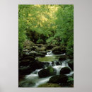 Recherche de une très posters Arbre