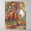 Search for vintage giraffe posters Africa