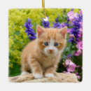 Recherche de cats ornements Funny