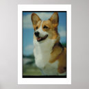 Recherche de corgi posters Chien