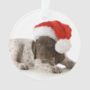 Search for attraction ornaments Cute