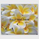 Recherche de fleur de plumeria Flore