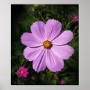 Search for dark green background posters Closeup