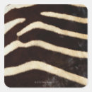 Search for zebra skin stickers Extreme close up
