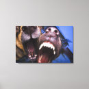 Search for dog canvas prints Outdoors