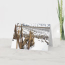 Search for corn field cards Thinking of you