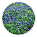 Search for bluebonnet Texas