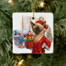 Search for santa cat ornaments Siamese