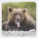Search for lazy day stickers Animal