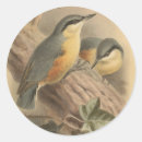 Search for vintage bird stickers Boho