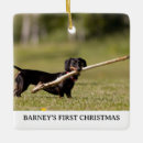 Recherche de dachshund christmas decor Dogs