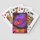 Search for fish playing cards Colourful