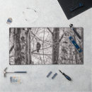 Search for black tailed electronics Nature
