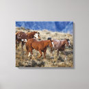 Search for quarter horses art Farm