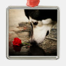 Search for alaskan husky ornaments Malamute