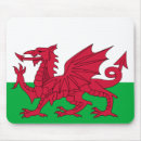 Search for saint david electronics Cymru