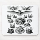 Recherche de battements tapis souris Cru