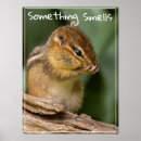 Recherche de odeurs posters Nature