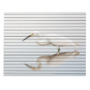 Recherche de scolastique École