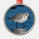 Search for sandpiper ornaments Wildlife