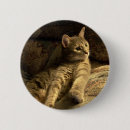 Search for thoughtful buttons Nature