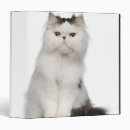 Search for persian binders Feline