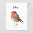 Search for robin bird invitations Nature