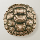 Search for turtle shell Cute
