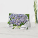 Search for hydrangea shrubs Flower