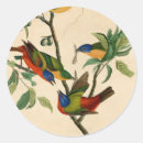 Search for audubon stickers John james audubon