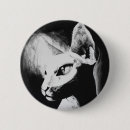 Recherche de poils badges Chat