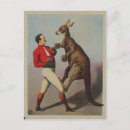 Recherche de kangourou drôle cartes postales Animal
